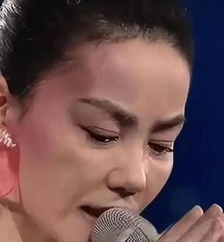 王菲春晚泪目背后：家庭变故与音乐之路