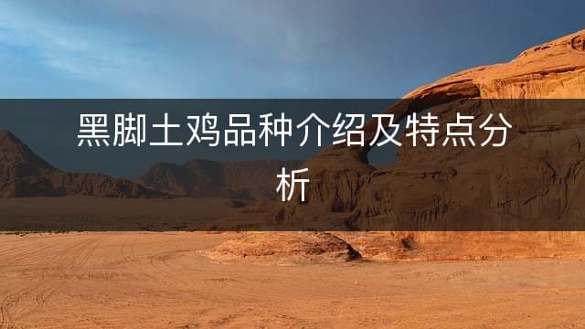 黑脚土鸡：传统品种的养殖价值与技术要点