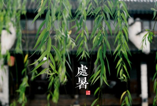 处暑：二十四节气中的“出暑”时刻