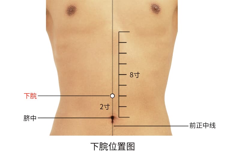下脘穴：位置、取穴方法、功效主治及日常保健