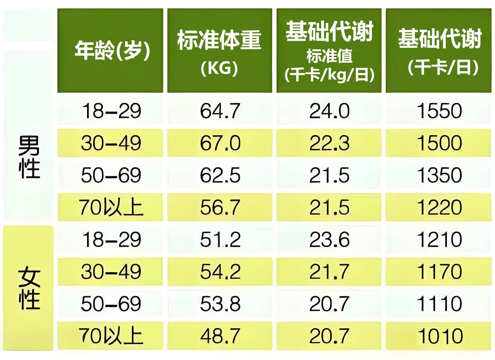 人体基础代谢率解析：概念、临床意义及便捷测算方法