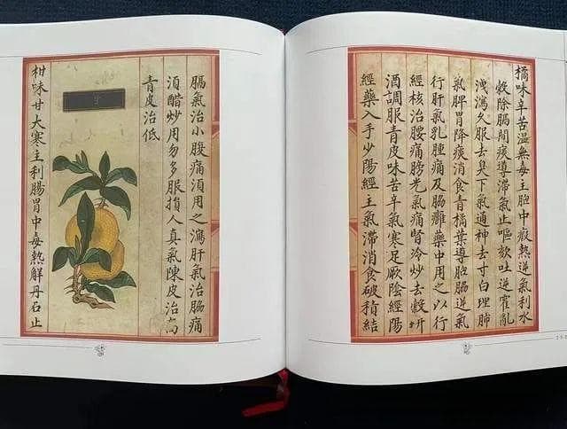 新会陈皮：感冒高发的春季，普通家庭如何使用陈皮？