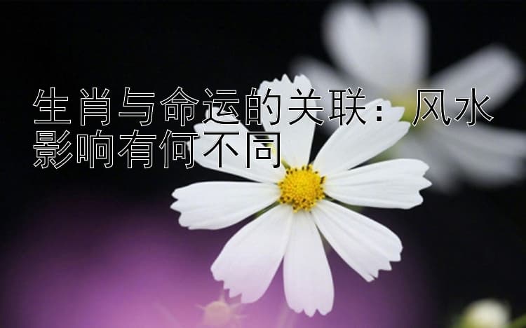 生肖与命运的关联：风水影响有何不同