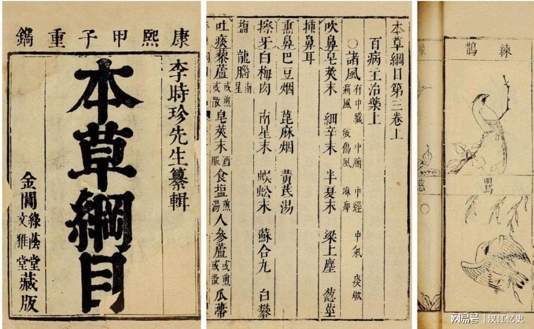 中国人为什么不吃猫肉？原来李时珍已告诉我们答案，古人早就试过