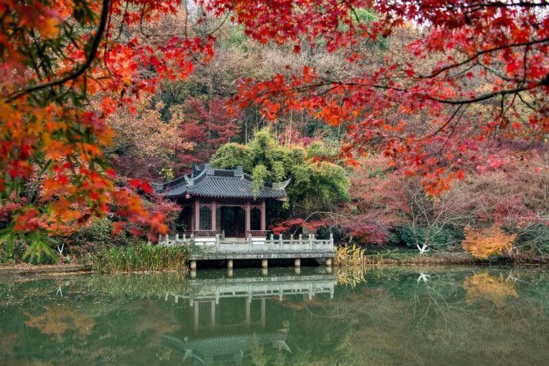 南京十大主题秋季旅游特色打卡点全攻略