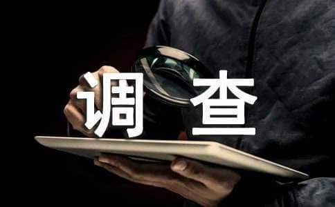调查报告的基本结构