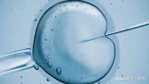 孕期营养：确保母婴健康的关键