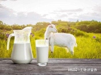 酸奶PK纯牛奶，谁是你心中的No.1?