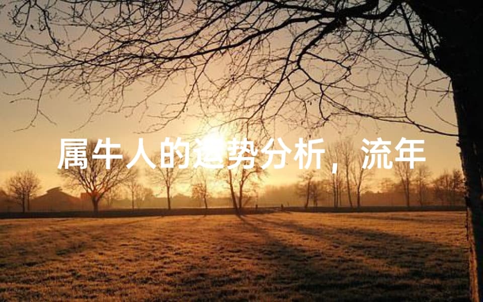 属牛人的运势分析，流年吉凶预测