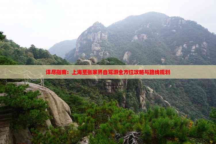 详尽指南：上海至张家界自驾游全方位攻略与路线规划