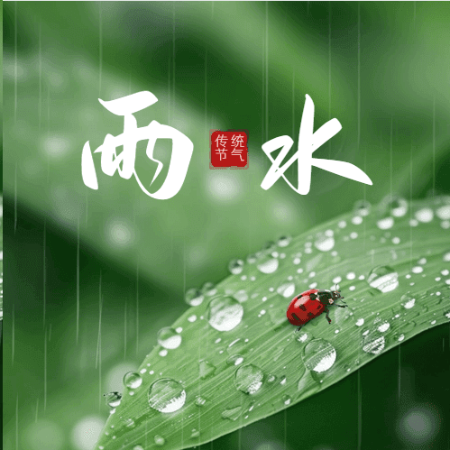 雨水节气防流感：这份用药指南请收好