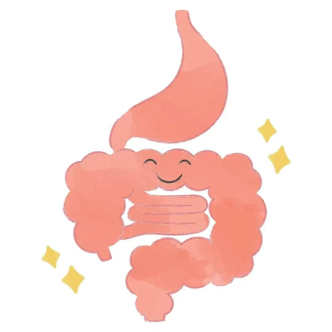 吃下去的东西，如能在这个时间内排出来！说明你的肠道很健康