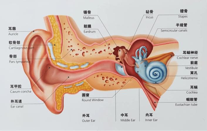 中耳炎术后并非万事大吉，科学护理与复查同样关键！