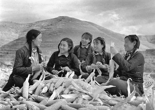 申纪兰：共和国勋章背后的倔强人生，为中国妇女拼出半边天
