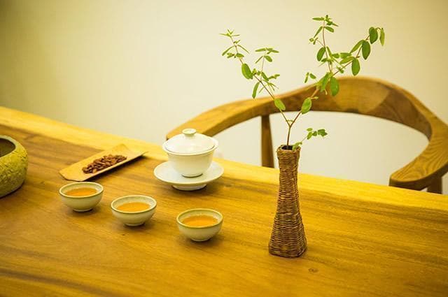 中药材丹参功效与禁忌 中药丹参怎么吃效果最好