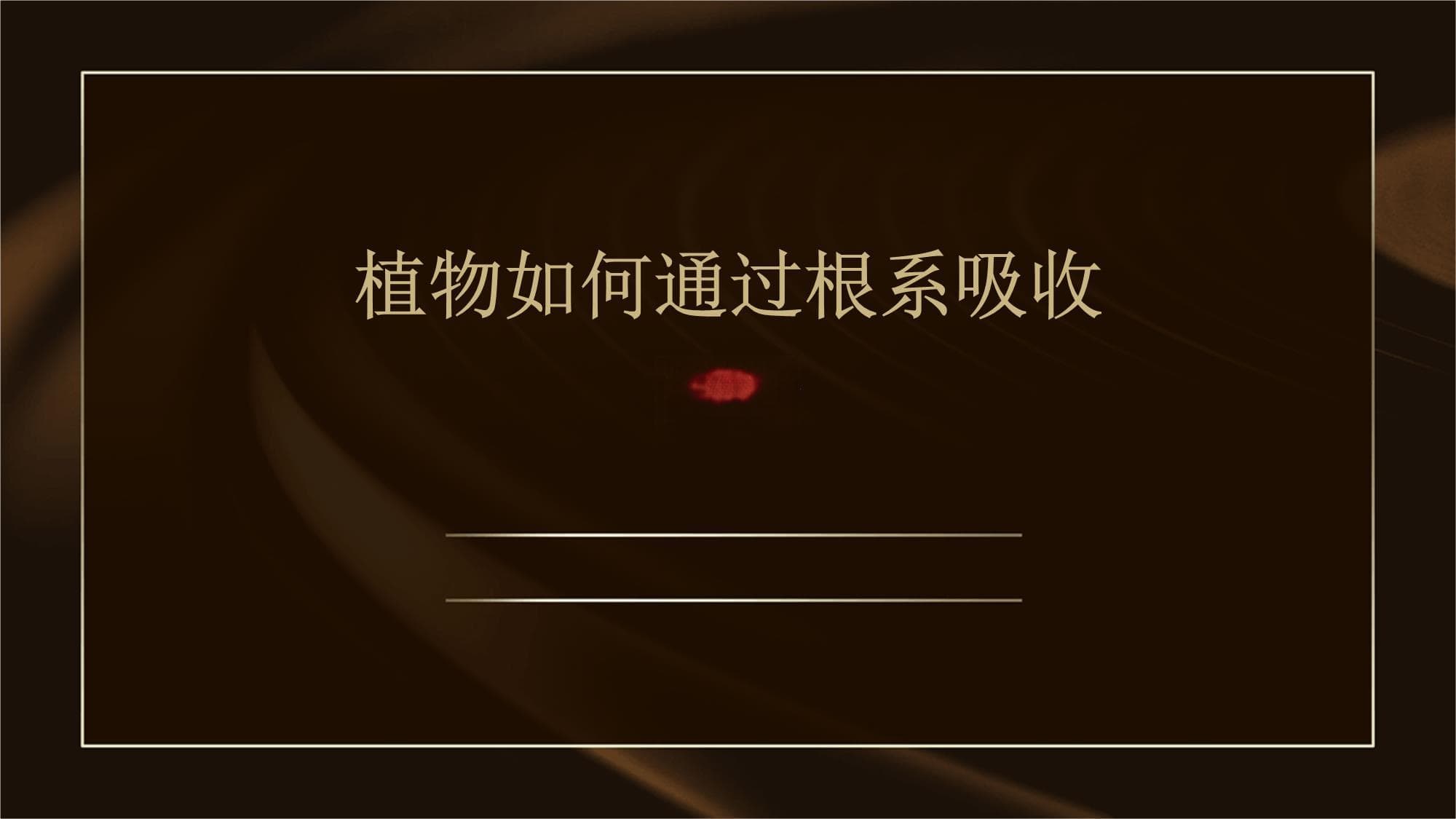 植物如何通过根系吸收养分