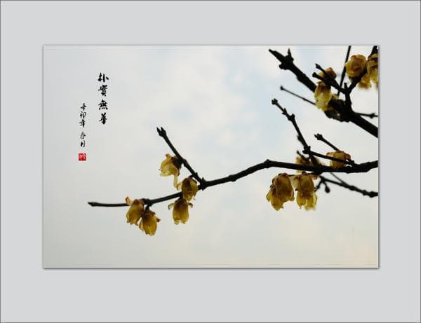 《道德经》第六十五章心得：以"愚"治国，方得福