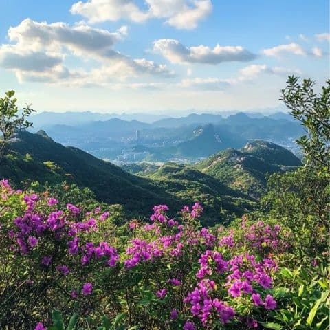 明月山旅游必看：路线、交通、住宿一文全解