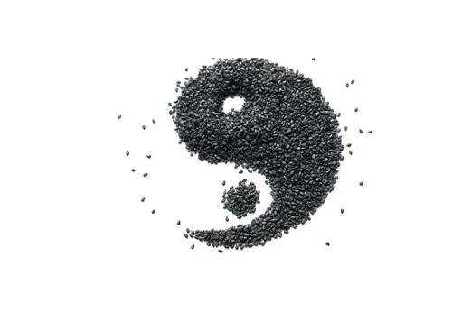 戊子日是哪一天？戊子日出生的人命运如何？