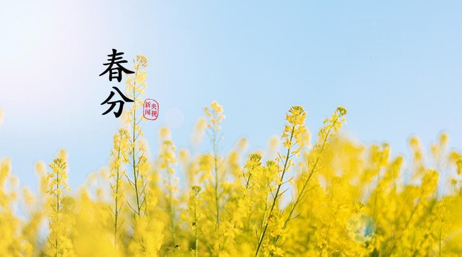 【节气里的大美中国】春分 | 生活明朗，万物可爱