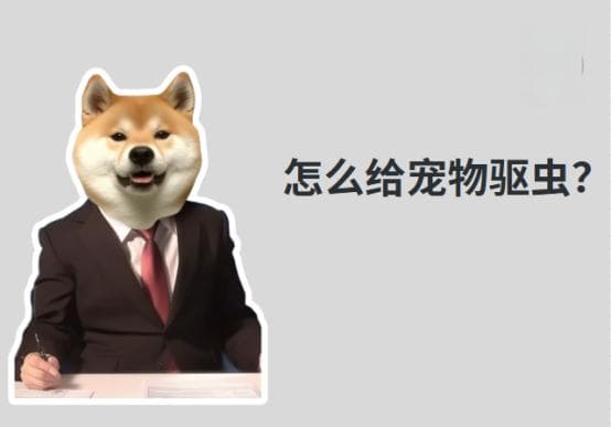 铲屎官小白必看！怎么给宠物猫咪or狗狗驱虫？