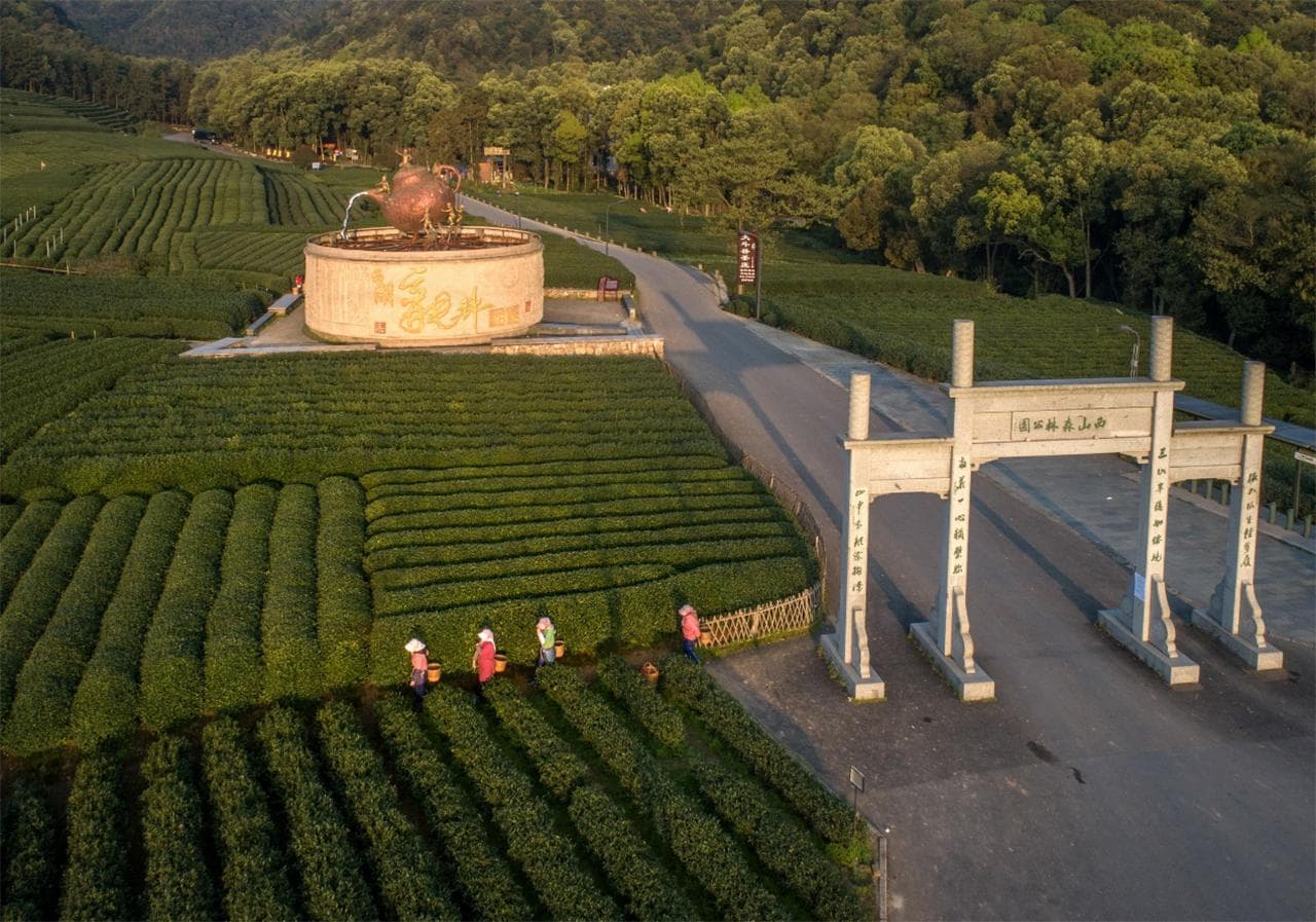 杭州龙坞茶村攻略：万亩茶园环绕的4A景区，周末休闲的理想选择
