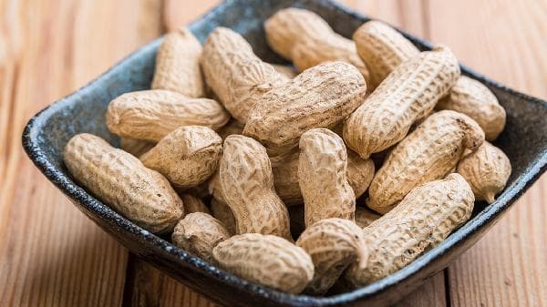食物变质的主要原因及预防措施