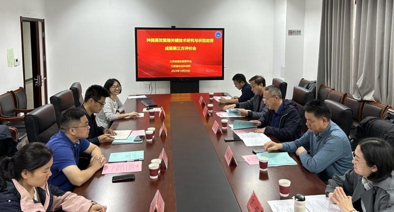 种鸽繁殖技术取得新突破：年生产效率提升25%