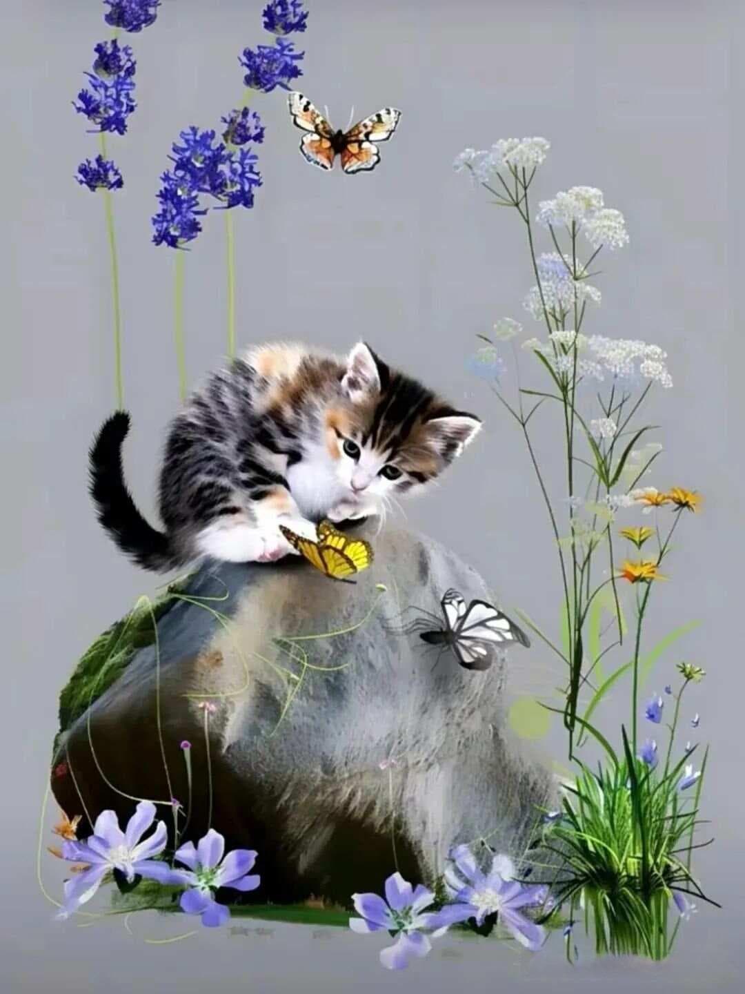 送您一组寓意着长寿和健康的“猫蝶图”，愿您福寿安康！
