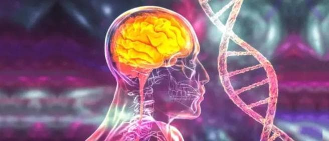 7个临床案例证明：干细胞治疗神经系统疾病有巨大潜力