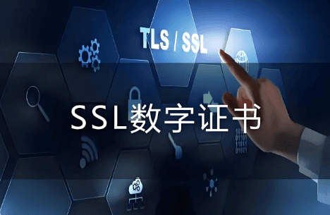 如何选择适合的SSL证书来保护您的网站？