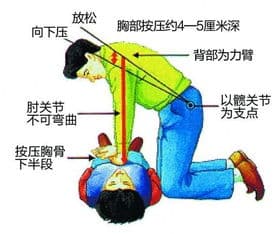 宠物溺水急救：立即排水，心肺复苏。