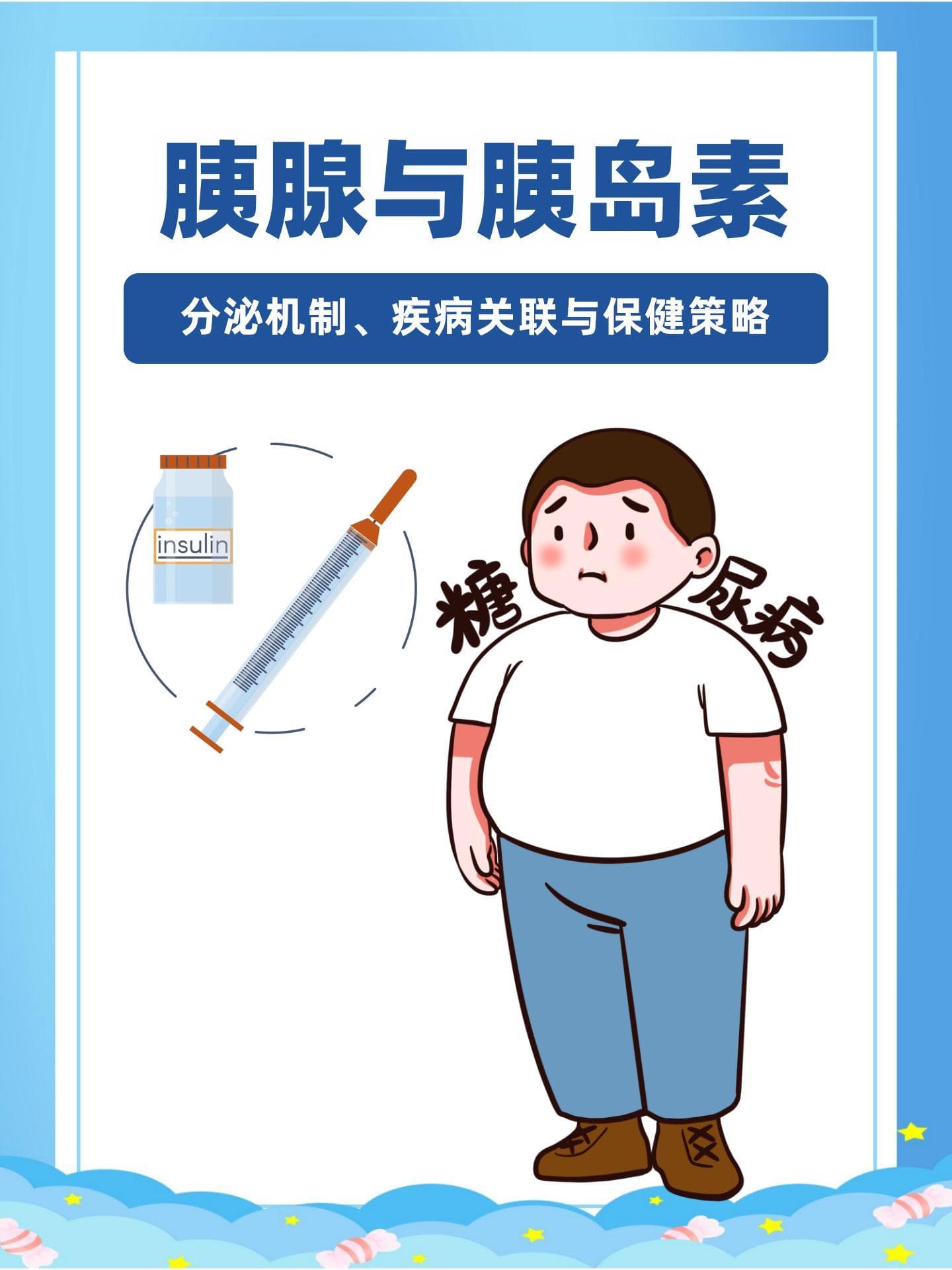胰腺与胰岛素：分泌机制、疾病关联与保健策略