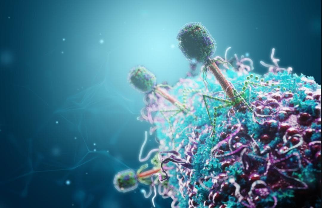 Cell：揭开CRISPR-Cas10的全新抗病毒免疫机制——牺牲自我，保护集体