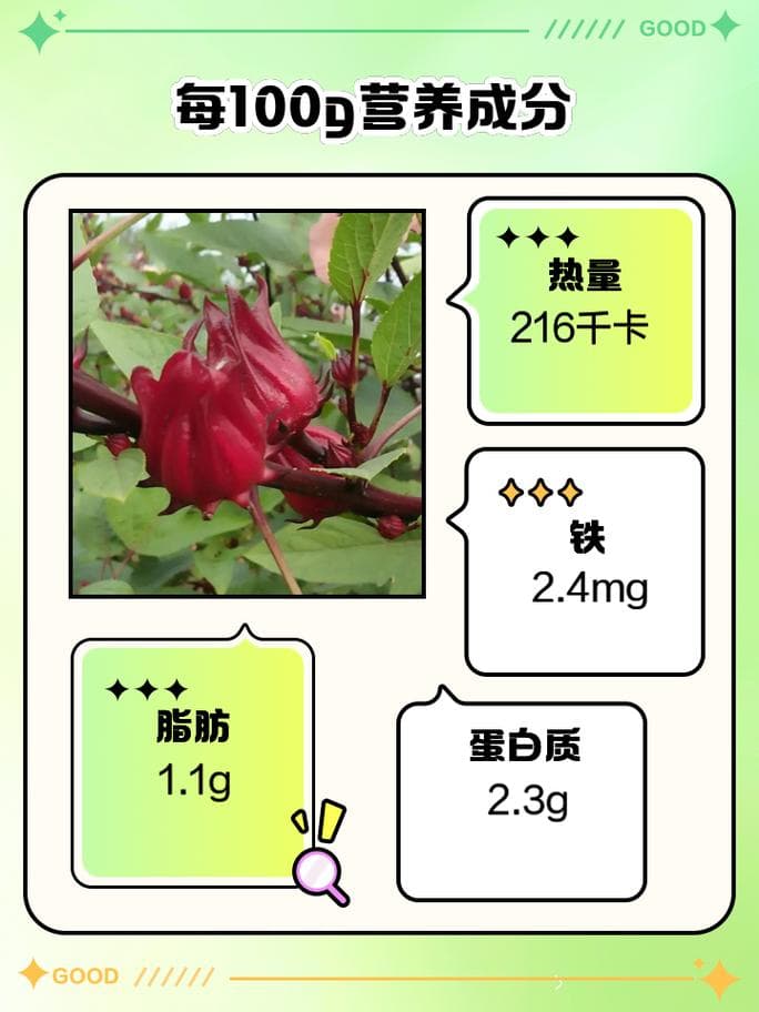洛神花秋天怎么养，洛神花栽培技术