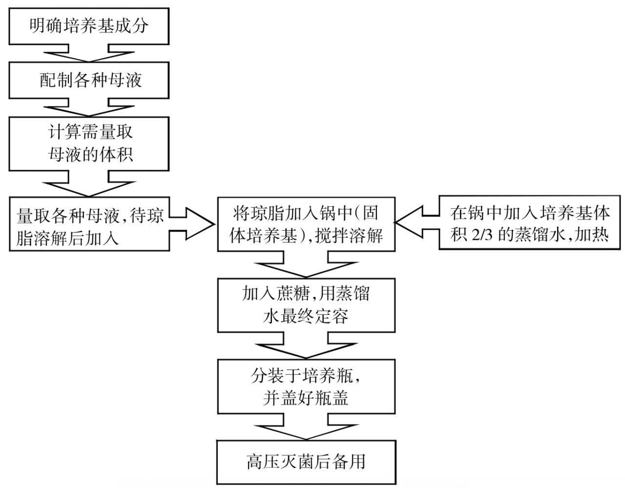 植物组织培养快繁技术