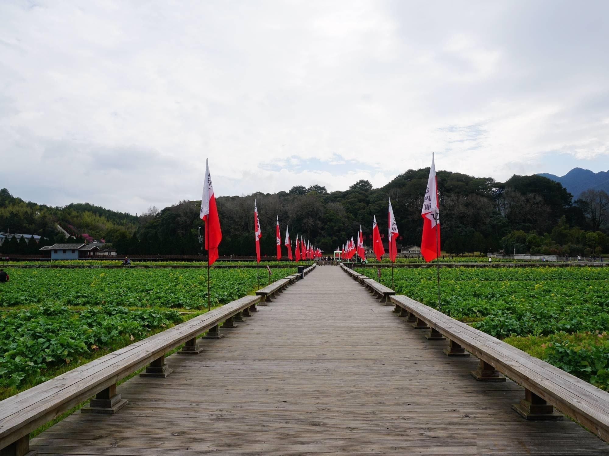 动车、红古田公交专线直达，参观古田会址及周边景点的旅游攻略