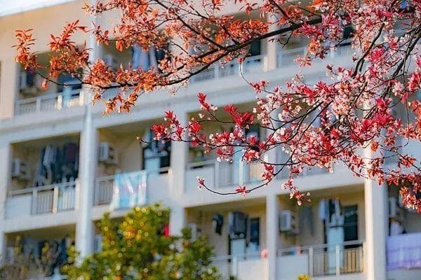 阻拦学生凌晨奔丧的宿管被处罚：学校改善管理不能到此为止