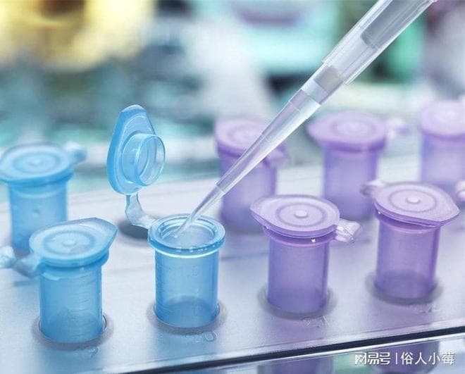 备孕期锻炼指南：塑造健康体魄迎接新生命