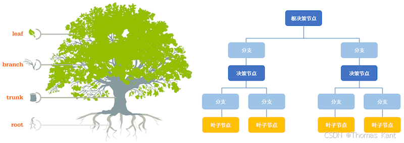 AI：决策树、决策森林与随机森林