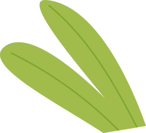 有效沟通的三个秘诀：倾听、真诚与技巧
