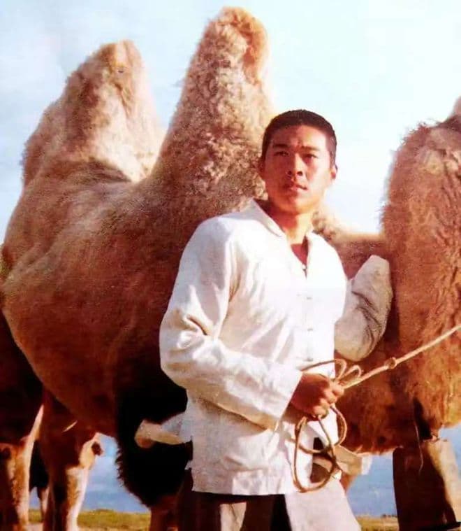 经典影片《骆驼祥子》：幕后选角一波三折