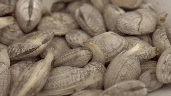 这种10块钱能嗦一大盘的夜宵，比小龙虾过瘾多了