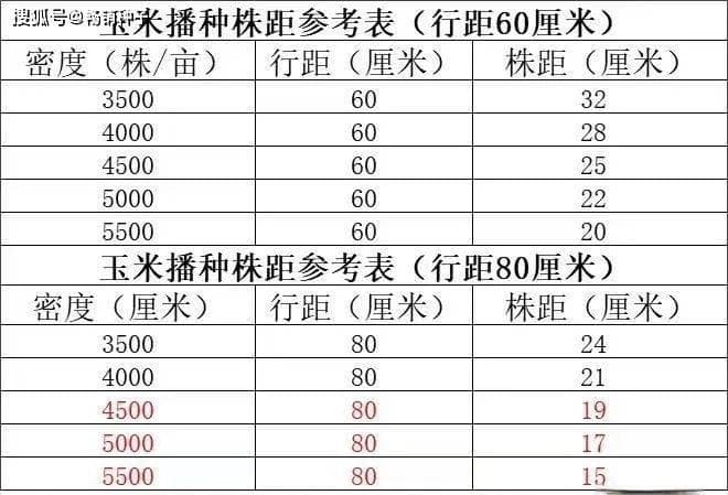 玉米种植密度多少合理？内附密度对照表