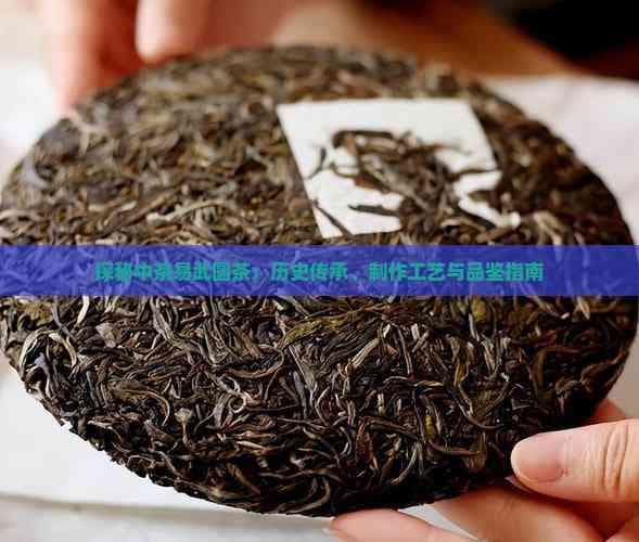 探秘中茶易武圆茶：历史传承、制作工艺与品鉴指南