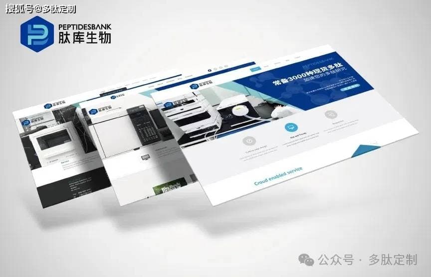 层层自组装纳米药物载体在癌症治疗中的研究进展