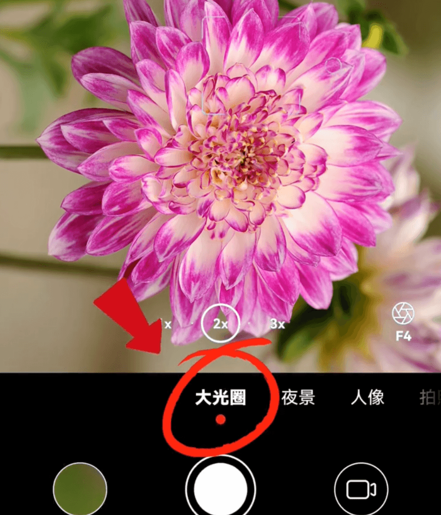 终于有人讲清楚了手机相机的各个功能怎么使用