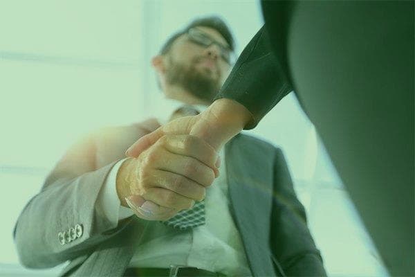 戊土命男人适合从事的行业分析