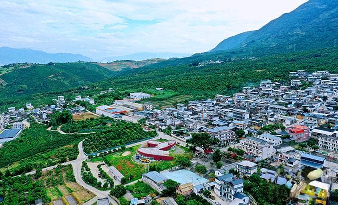 云南“咖啡第一村”：万亩咖啡年产值1.2亿，村民人均收入过万