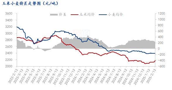 Mysteel解读：春节后东北玉米价格走强 行情因此反转？